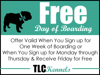 Free Day of Boarding - Offer Valid When You Sign up for One Week of Boarding or When You Sign up for Monday through Thursday & Receive Friday for Free